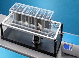 ZH-200足底測(cè)痛儀